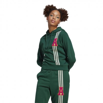 SMALL LOGO HOODIE VERT FONCE